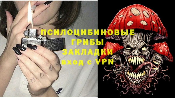 ПСИЛОЦИБИНОВЫЕ ГРИБЫ Алексин