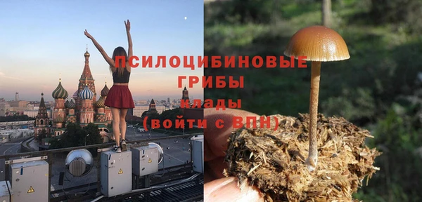 гидропоника Алзамай