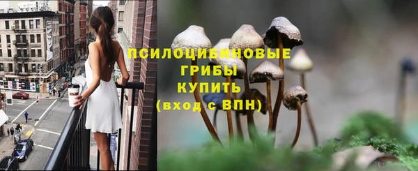 гидропоника Алзамай